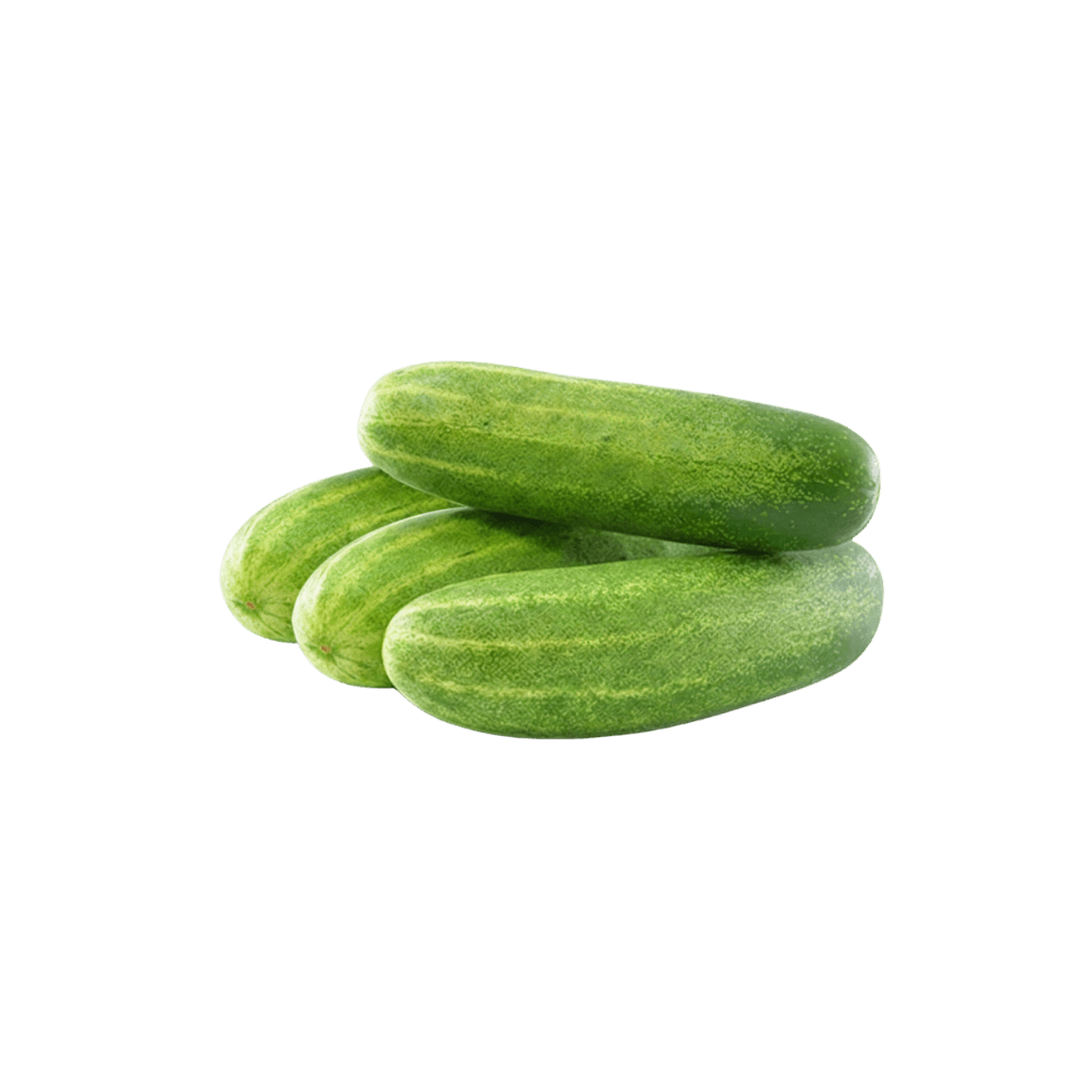 Desi Cucumber 1 lb buy online USA