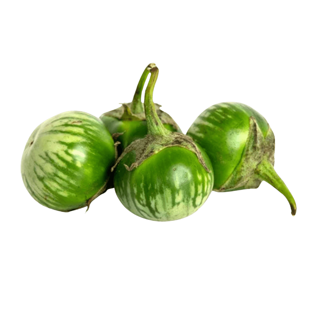 Thai Eggplant 1 lb buy online USA