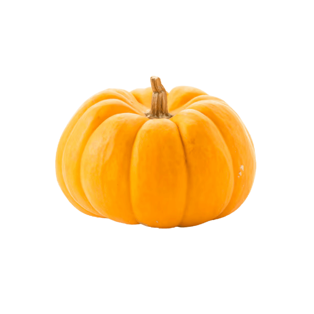 Yellow Pumpkin 1 lb buy online USA